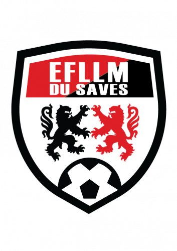 Logo EFLLM DU SAVES